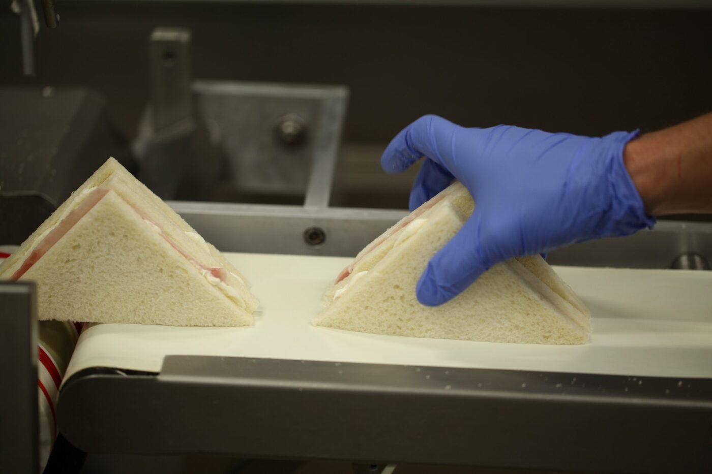 Tramezzini sulla linea di produzione